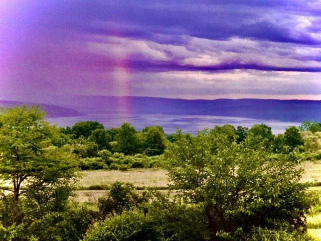 A Cayuga Lakefront Inn - Hotel Alt, Ithaca New York Екстер'єр фото